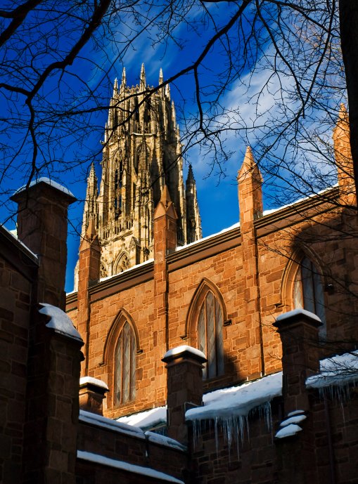Yale Fails to Withdraw Honorary Degree Given to European Corporate Leader Responsible for Thousands of Asbestos-Related Deaths