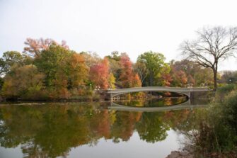Bow Bridge Central Park NY 