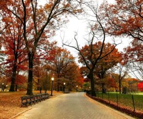 Bow Bridge Central Park NY